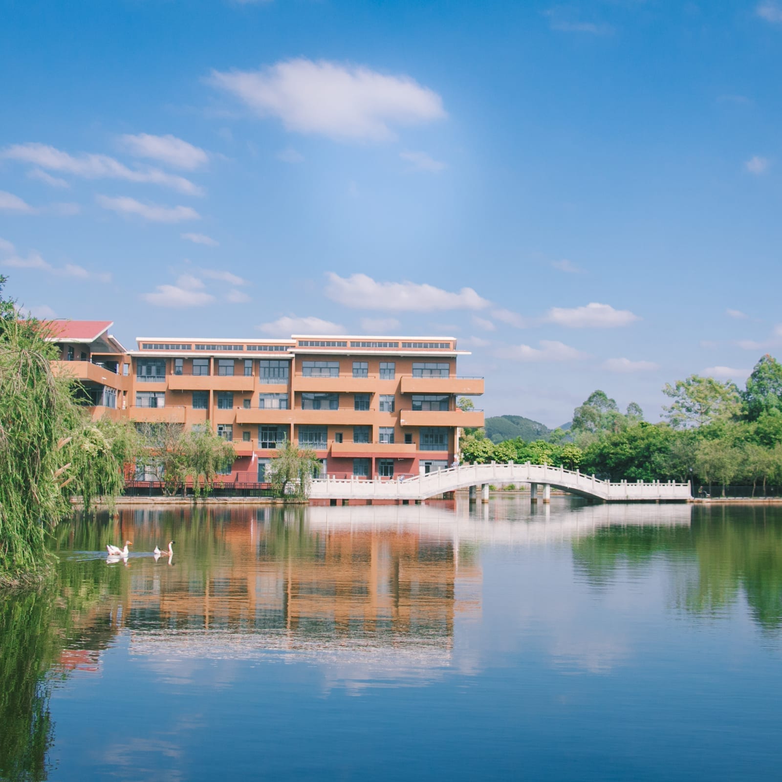Guangzhou College of Commerce buildings across the campus lake, with the white footbridge